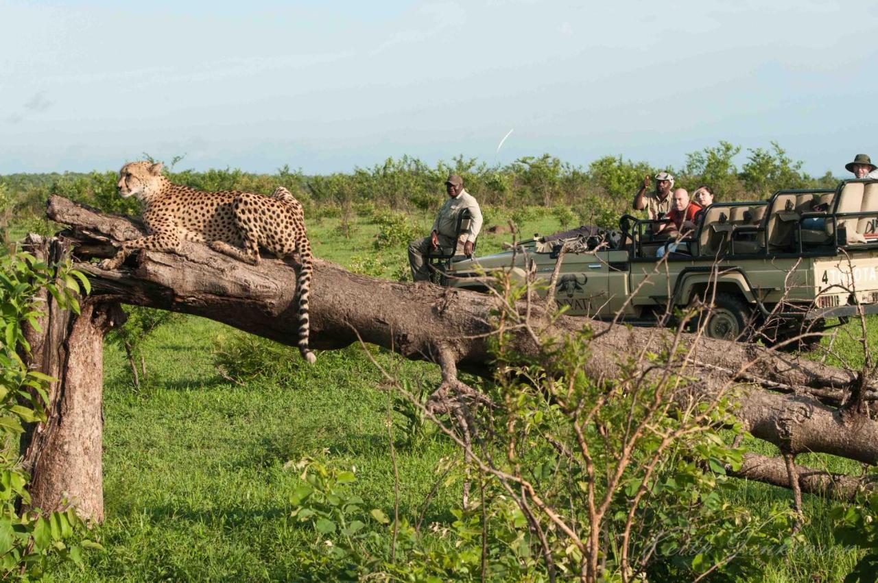 Inyati Game Lodge Sabi Sand Game Reserve Exterior foto