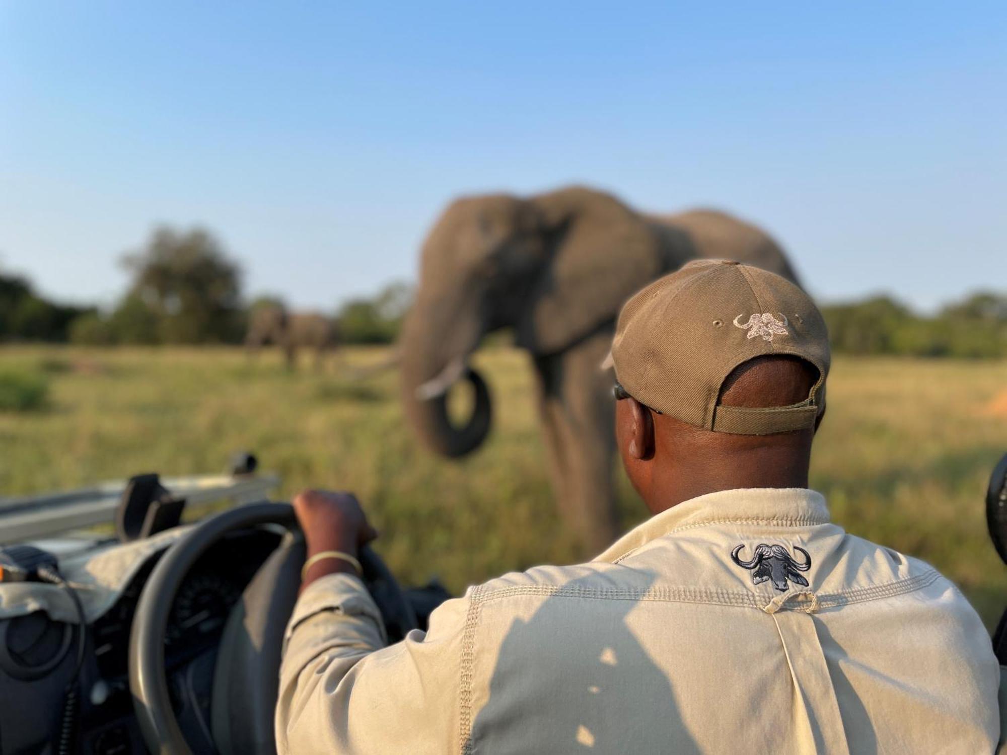 Inyati Game Lodge Sabi Sand Game Reserve Exterior foto