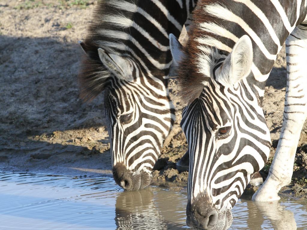 Inyati Game Lodge Sabi Sand Game Reserve Exterior foto