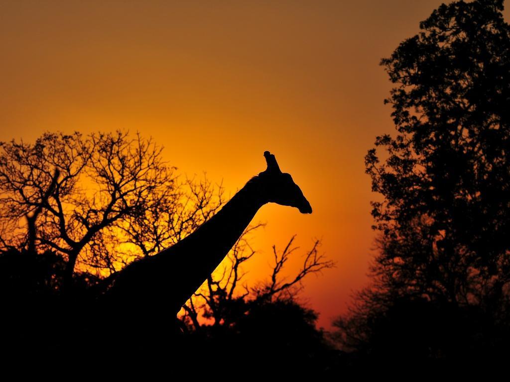 Inyati Game Lodge Sabi Sand Game Reserve Exterior foto